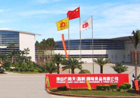 Guangzhou Haitian Food Co., Ltd